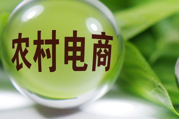 绘就全面推进乡村振兴壮美画卷（全面推进乡村振