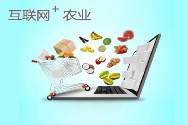 【乡村行·看振兴】黄羊河农场：大力发展现代农